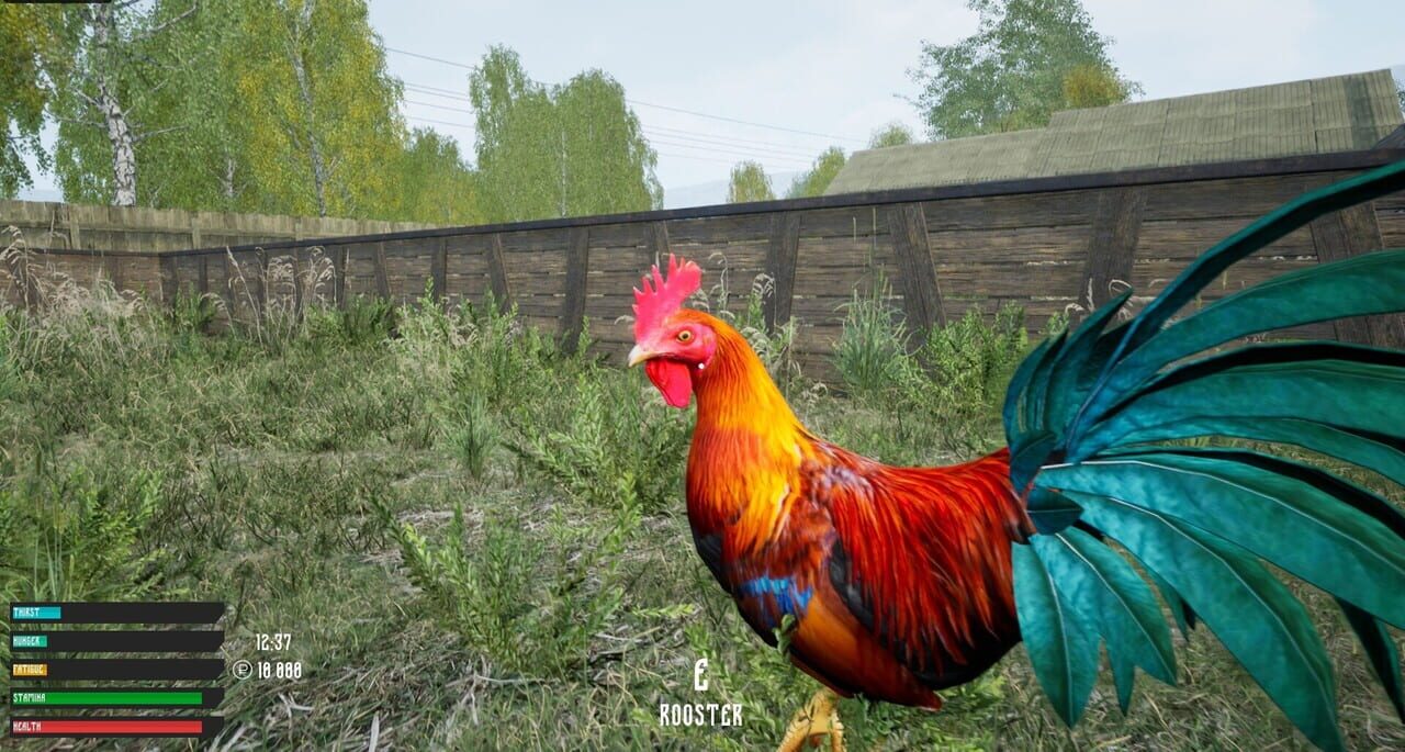 Russian Village Simulator