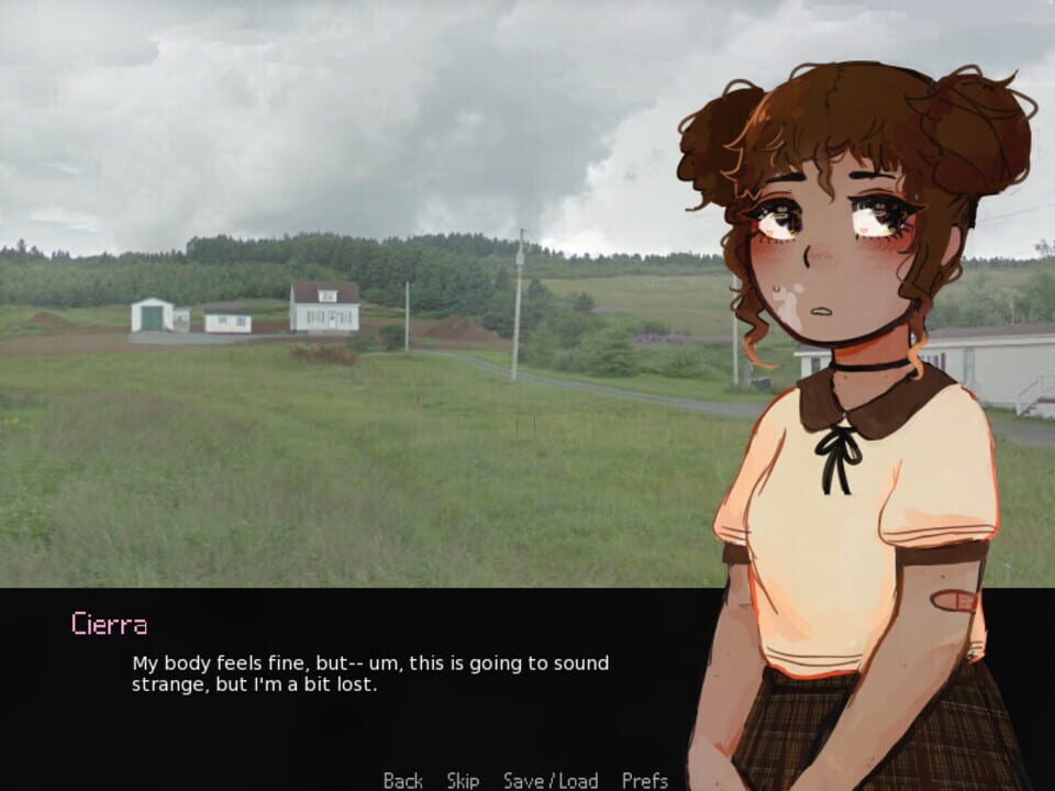 Rain & Chamomile Tea