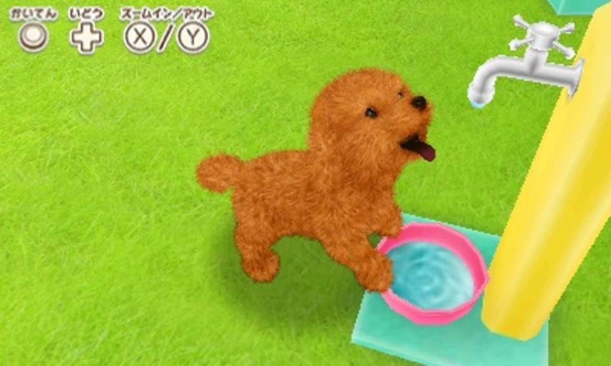 Kawaii Pet to Kurasou! Wan Nyan & Mini Mini Animal