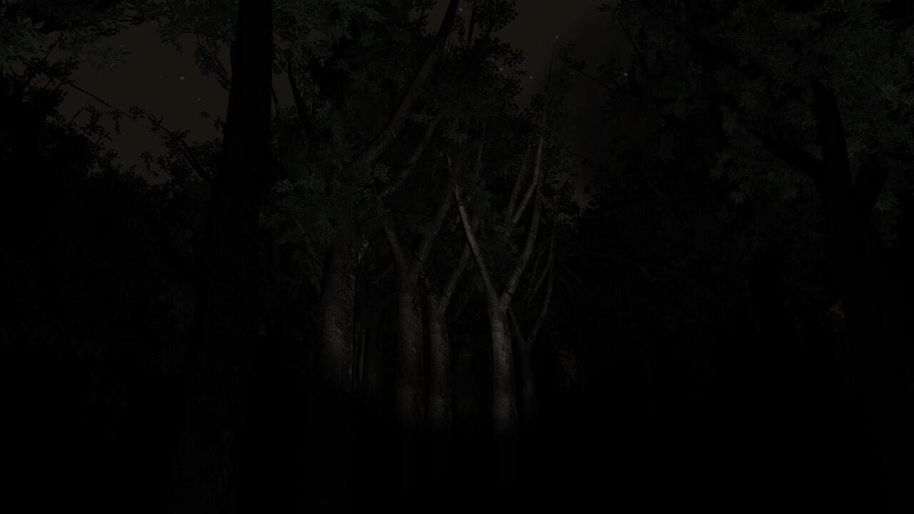 Slender: The Eight Pages