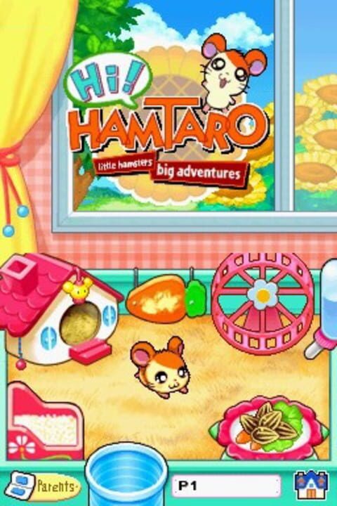 Hi! Hamtaro: Ham-Ham Challenge