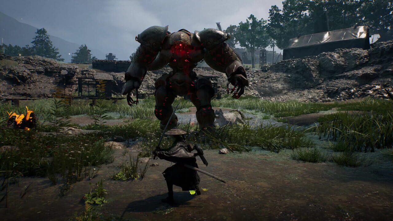 Beast of Reincarnation