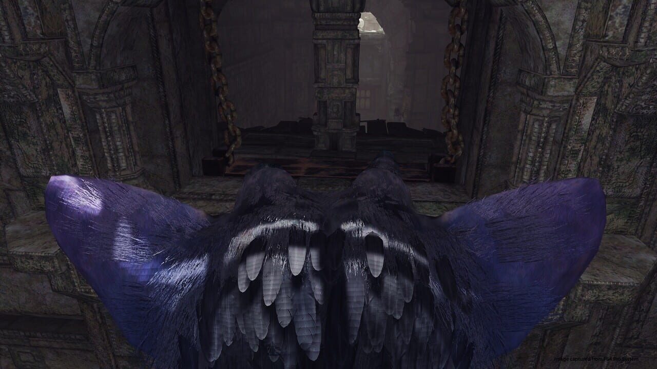 The Last Guardian VR