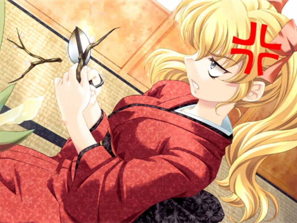 Kimi ga Nozomu Eien: Enhanced Edition – Another Episode Collection+