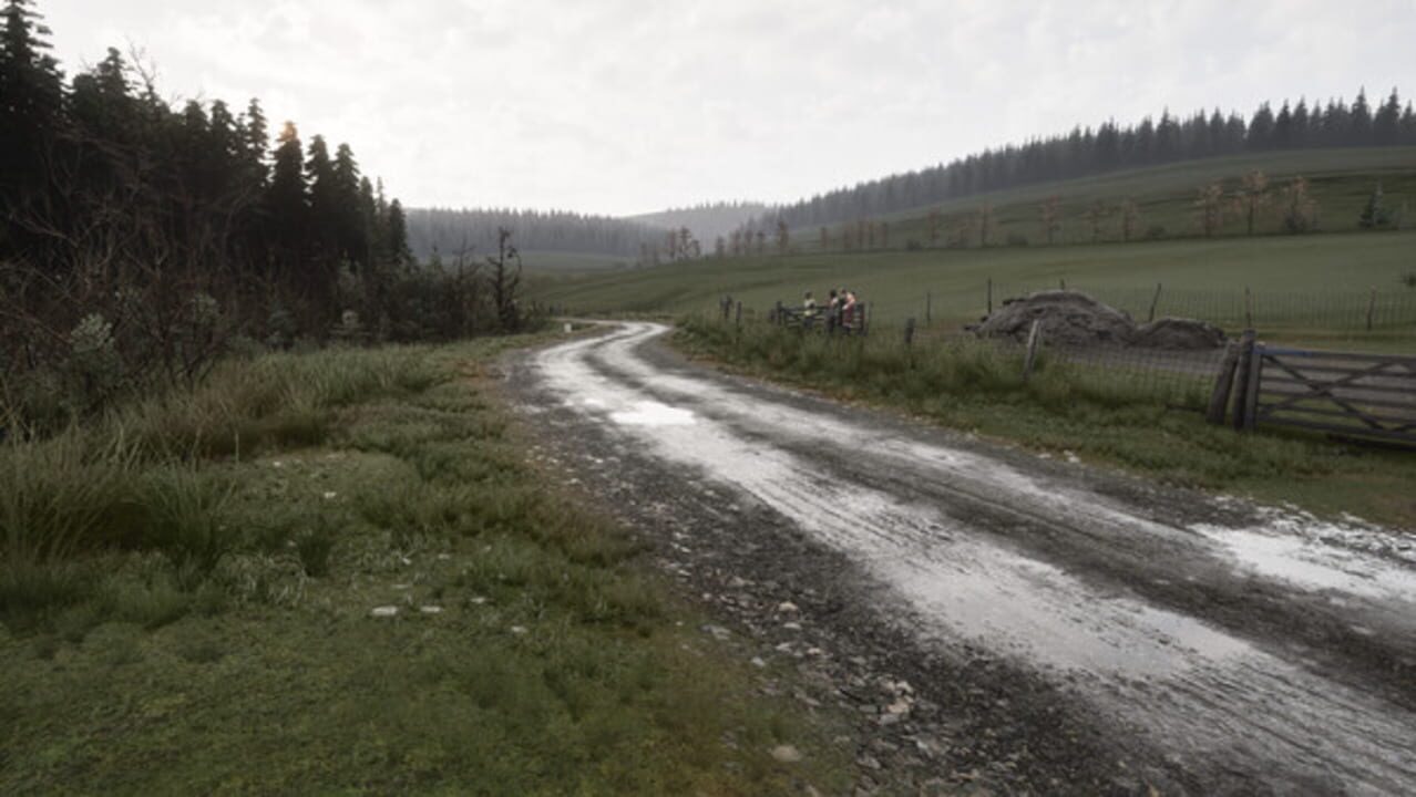 Assetto Corsa Rally