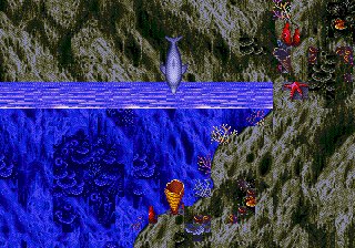 Ecco the Dolphin