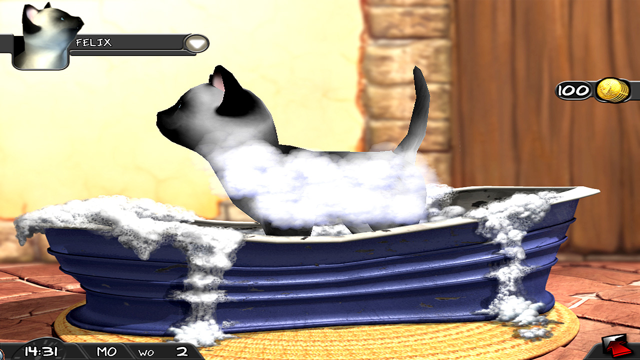 My Best Friends: Cats &amp; Dogs