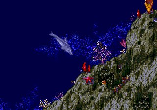 Ecco the Dolphin