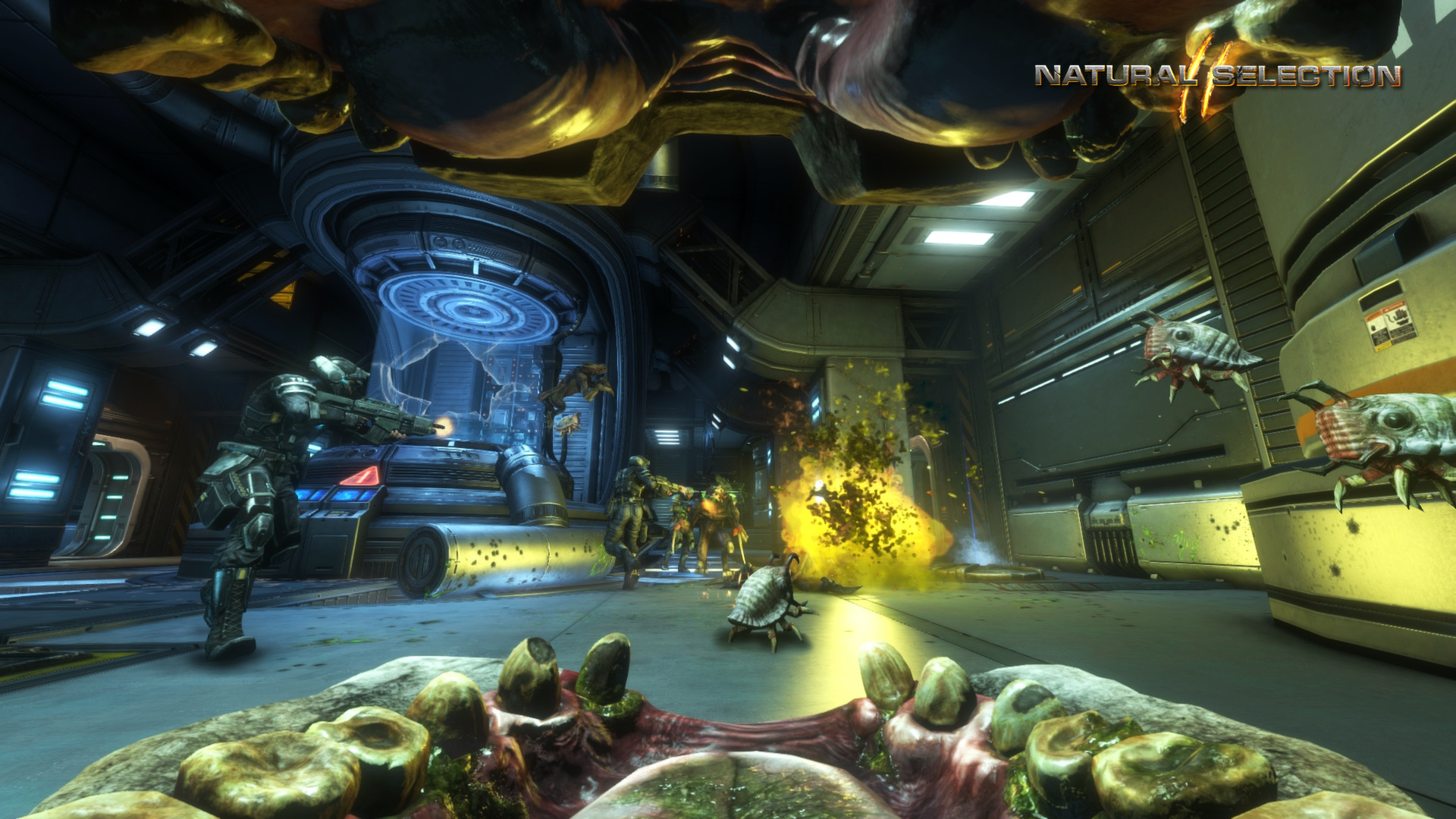 Natural Selection 2 – Deluxe DLC