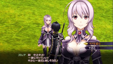 Sword Art Online: Infinity Moment