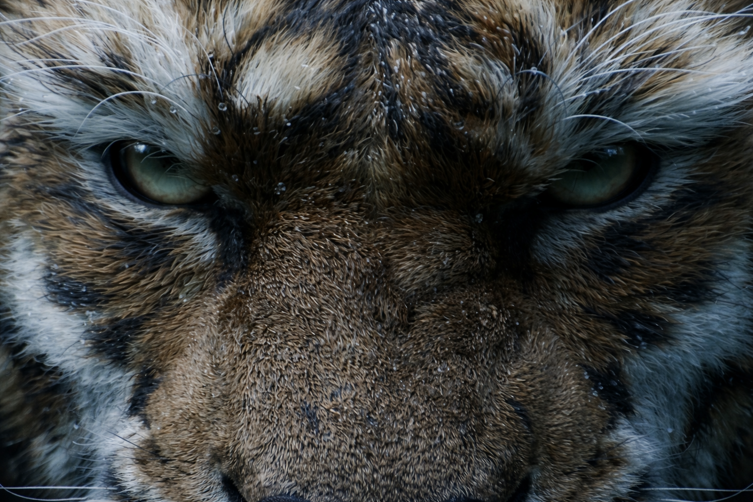 Black Myth: Zhong Kui