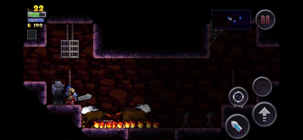 Rogue Legacy: Wanderer Edition