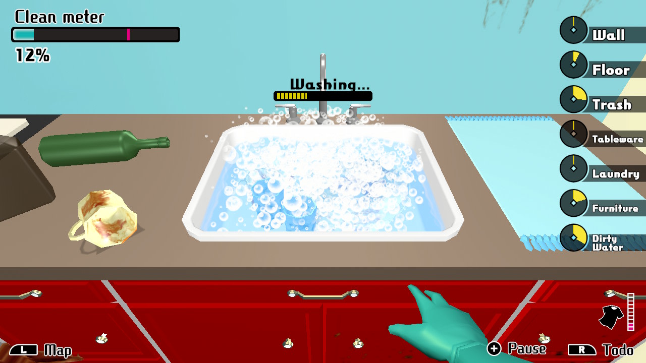 House Cleaning Survival