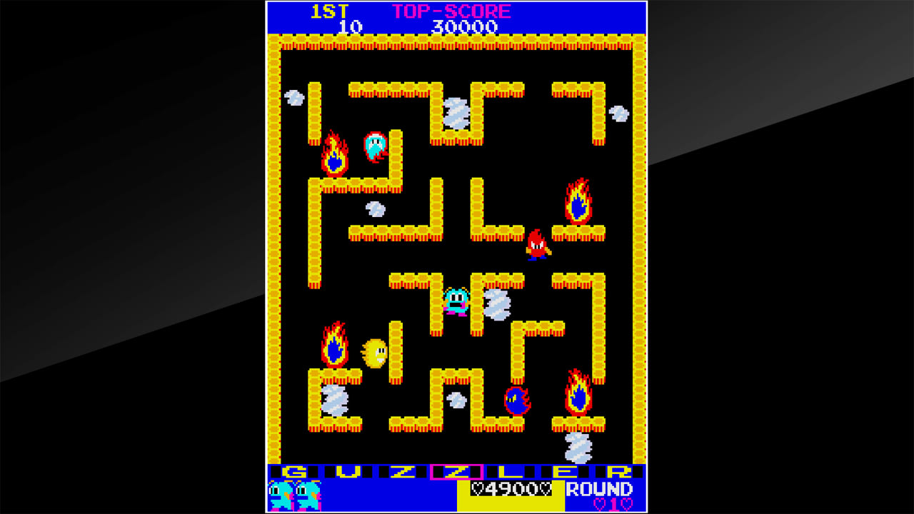 Arcade Archives: Guzzler