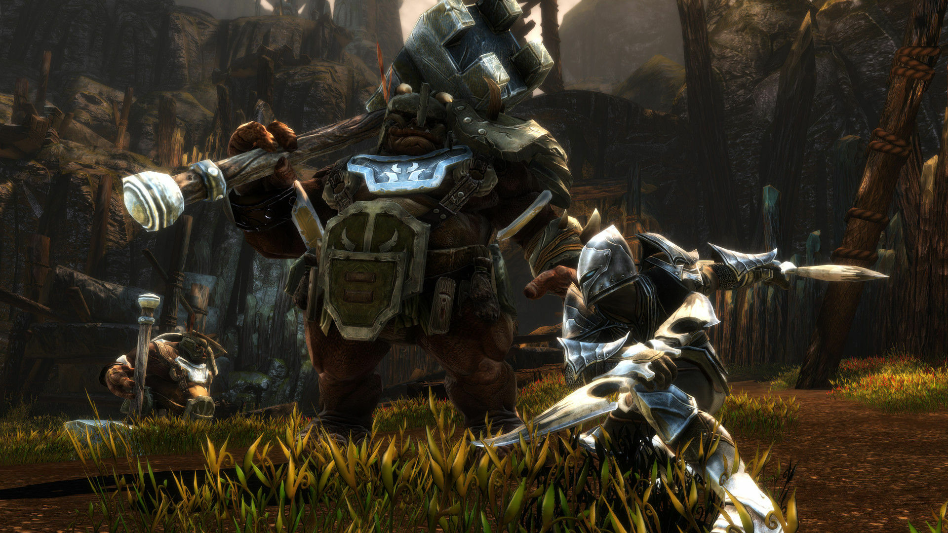 Kingdoms of Amalur: Re-Reckoning – Fate Edition