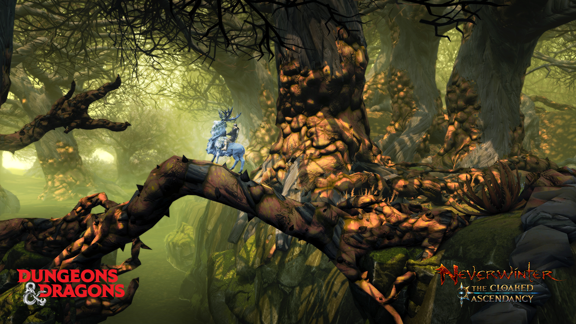 Neverwinter: The Cloaked Ascendancy