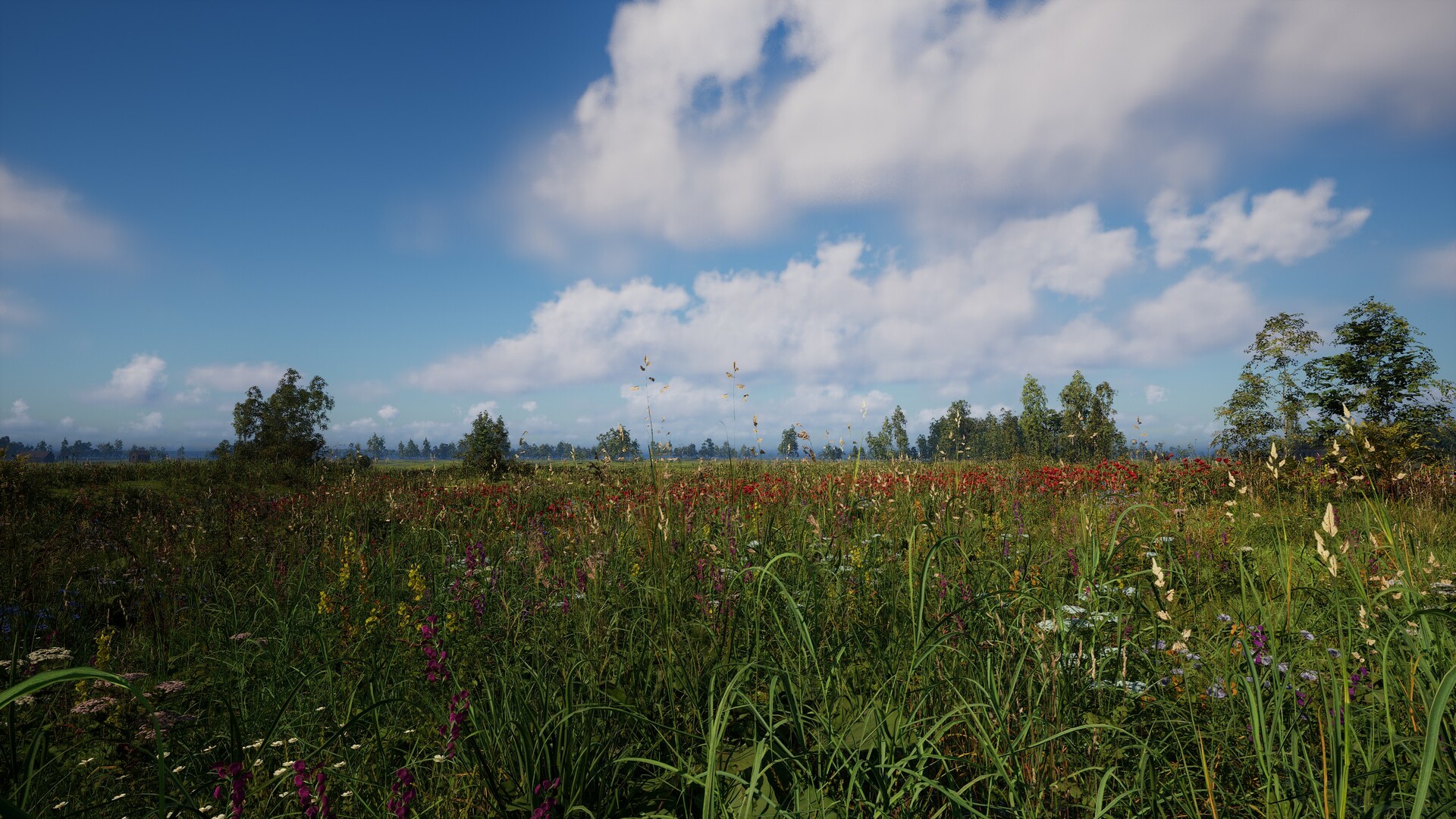 Russian Soul Simulator