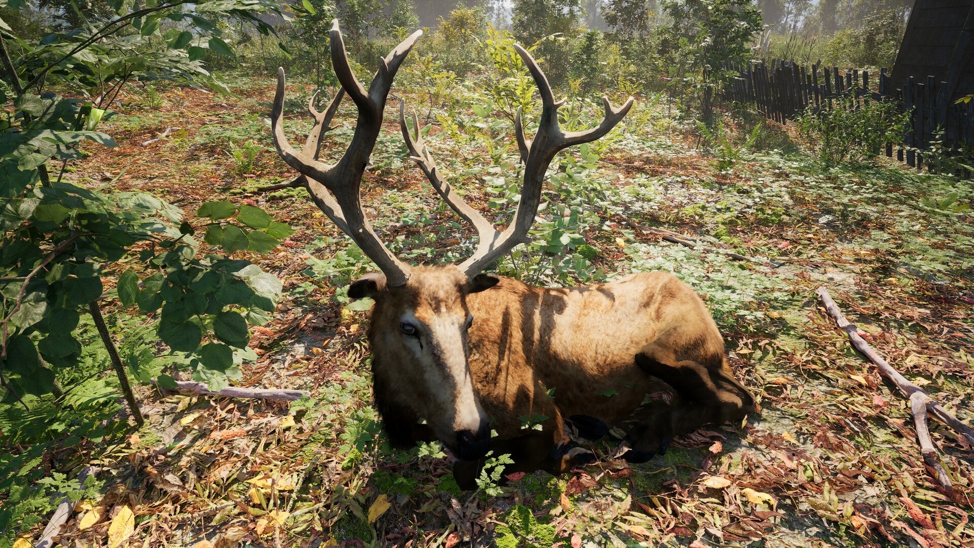 Russian Soul Simulator