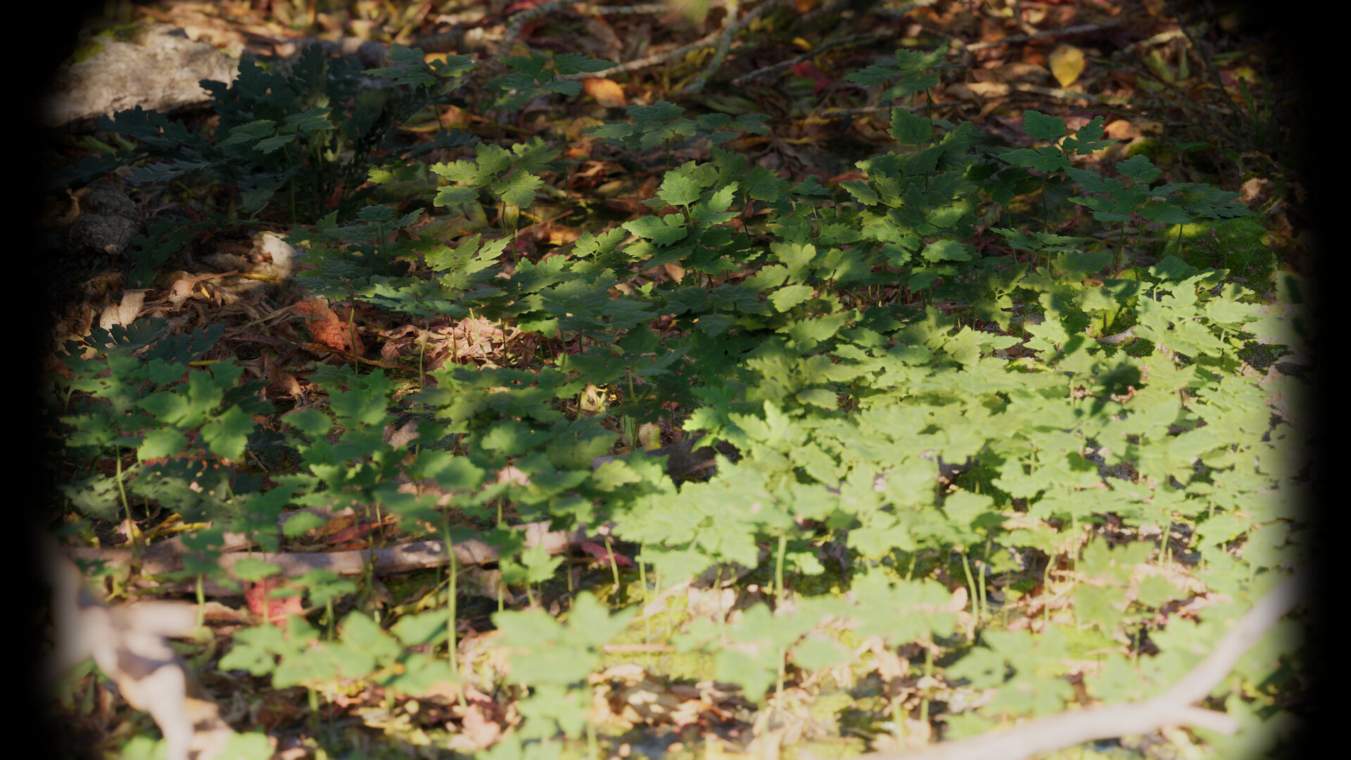 Russian Soul Simulator