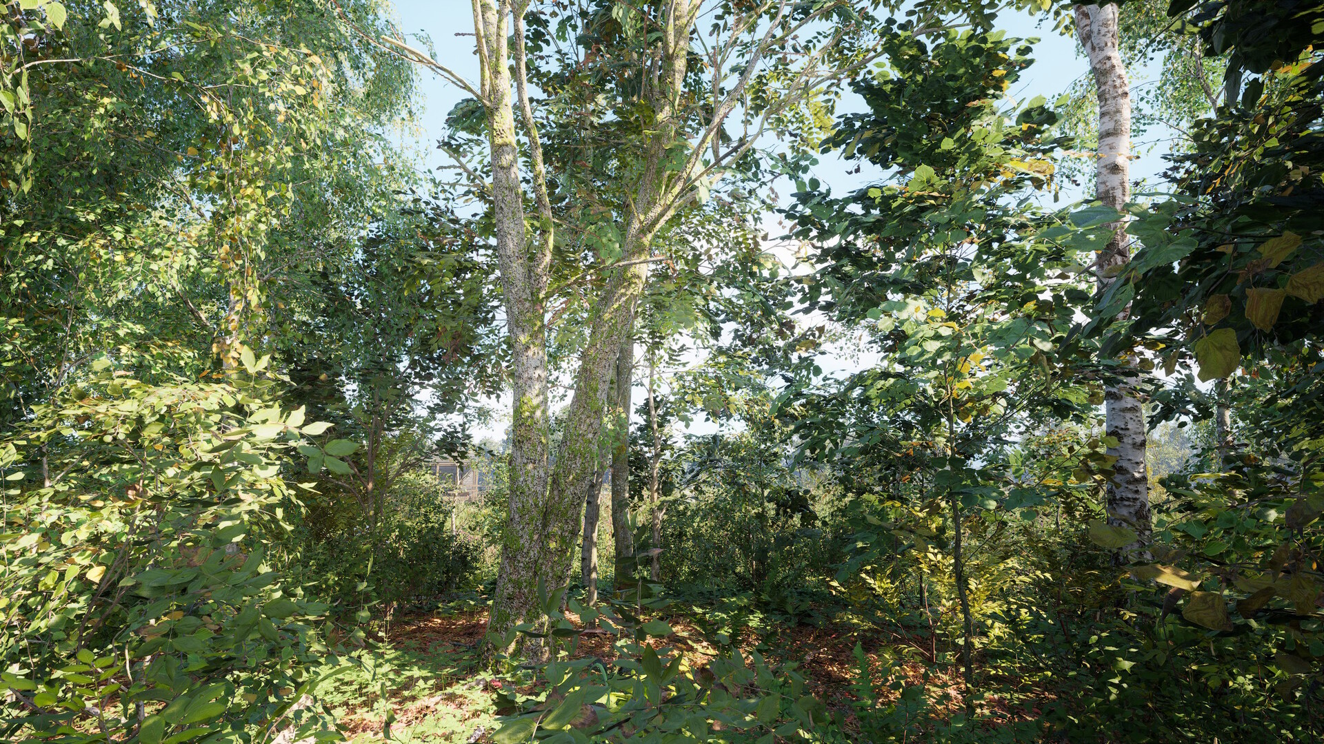 Russian Soul Simulator