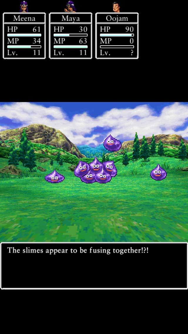 Dragon Quest IV: Chapters of the Chosen