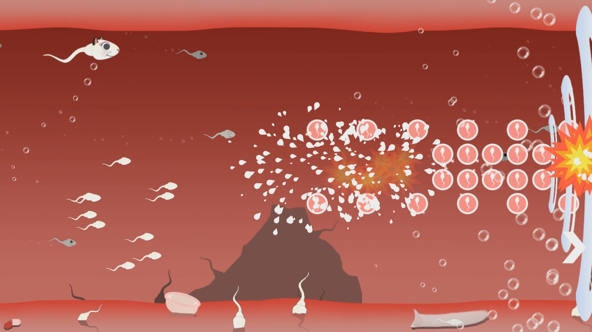 Fallopian Frenzy! Come Again?