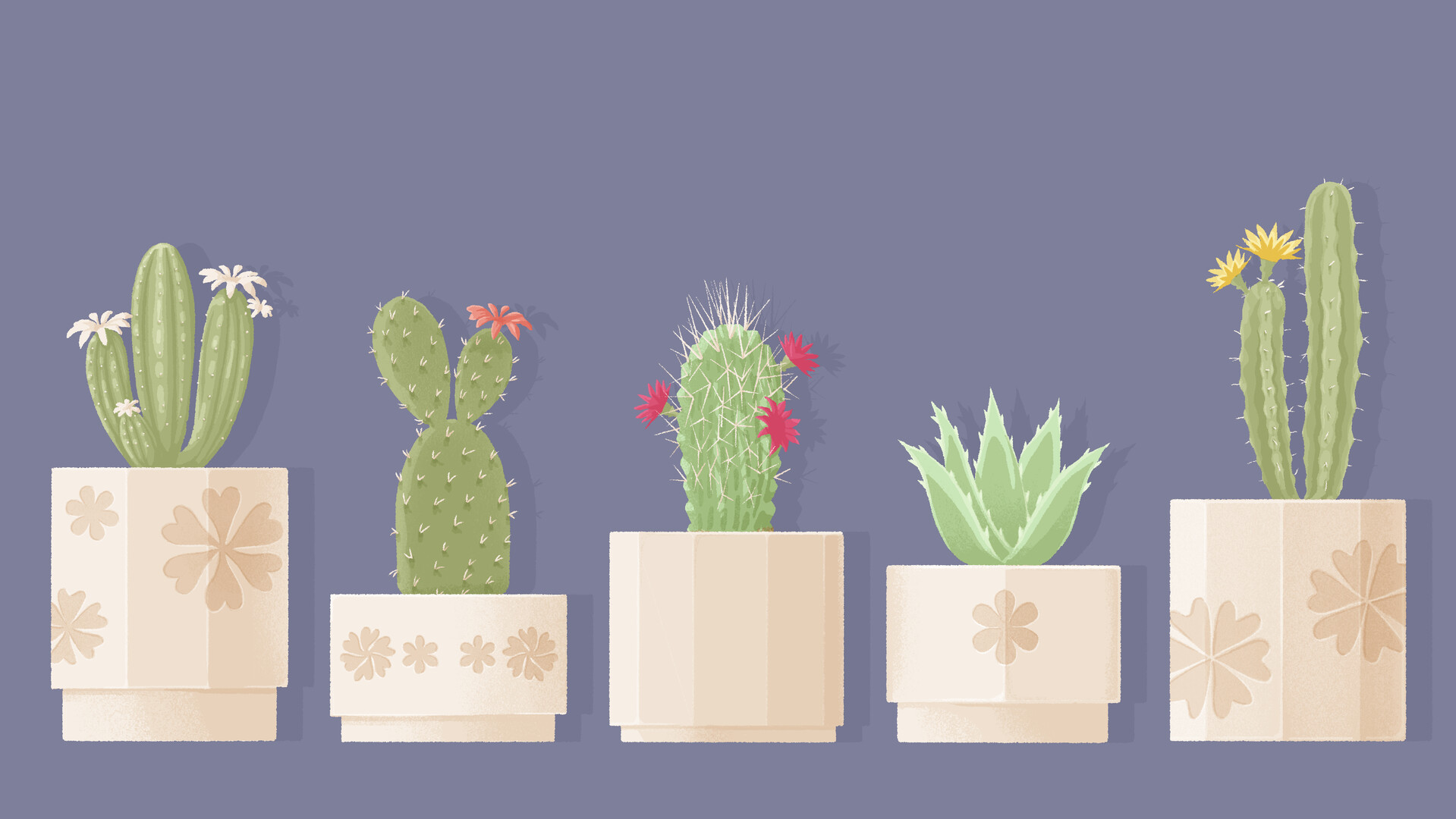 A Little to the Left: Seeing Stars