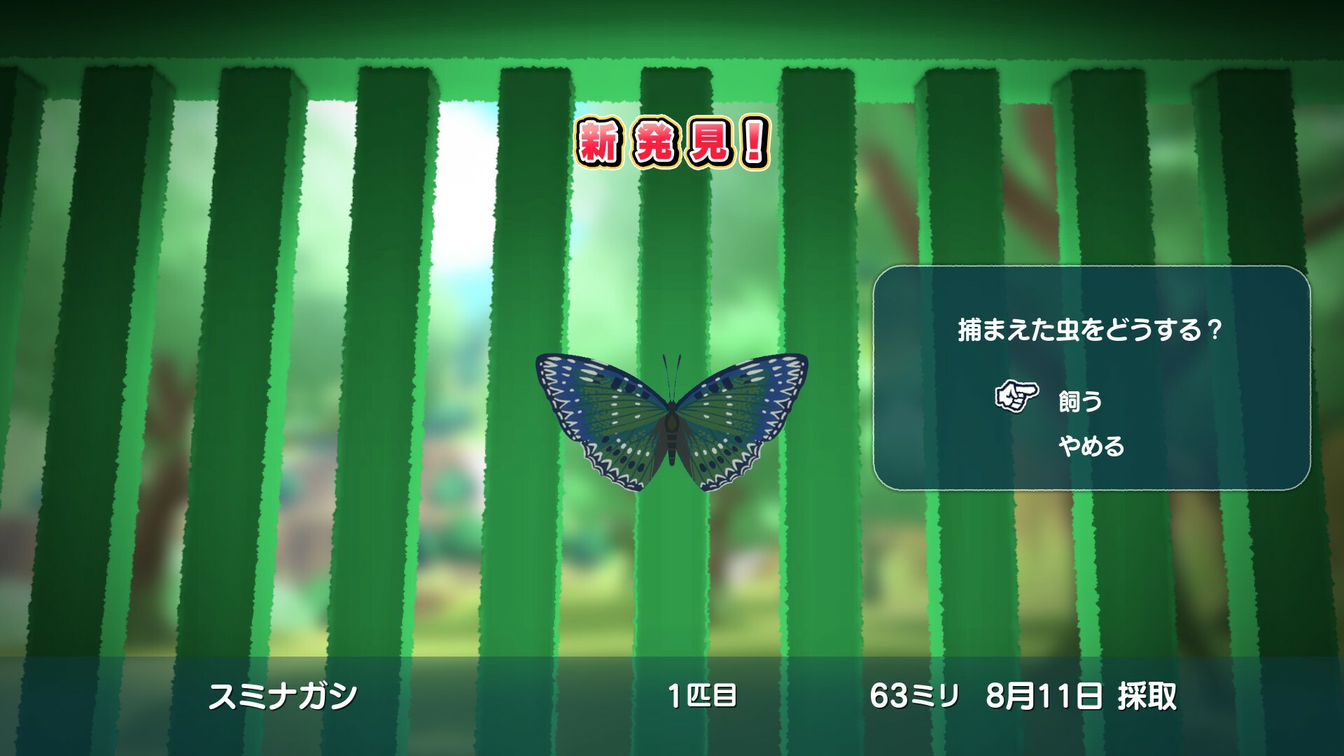 Natsu-Mon: 20th Century Summer Kid: Broadcast Over Sunset