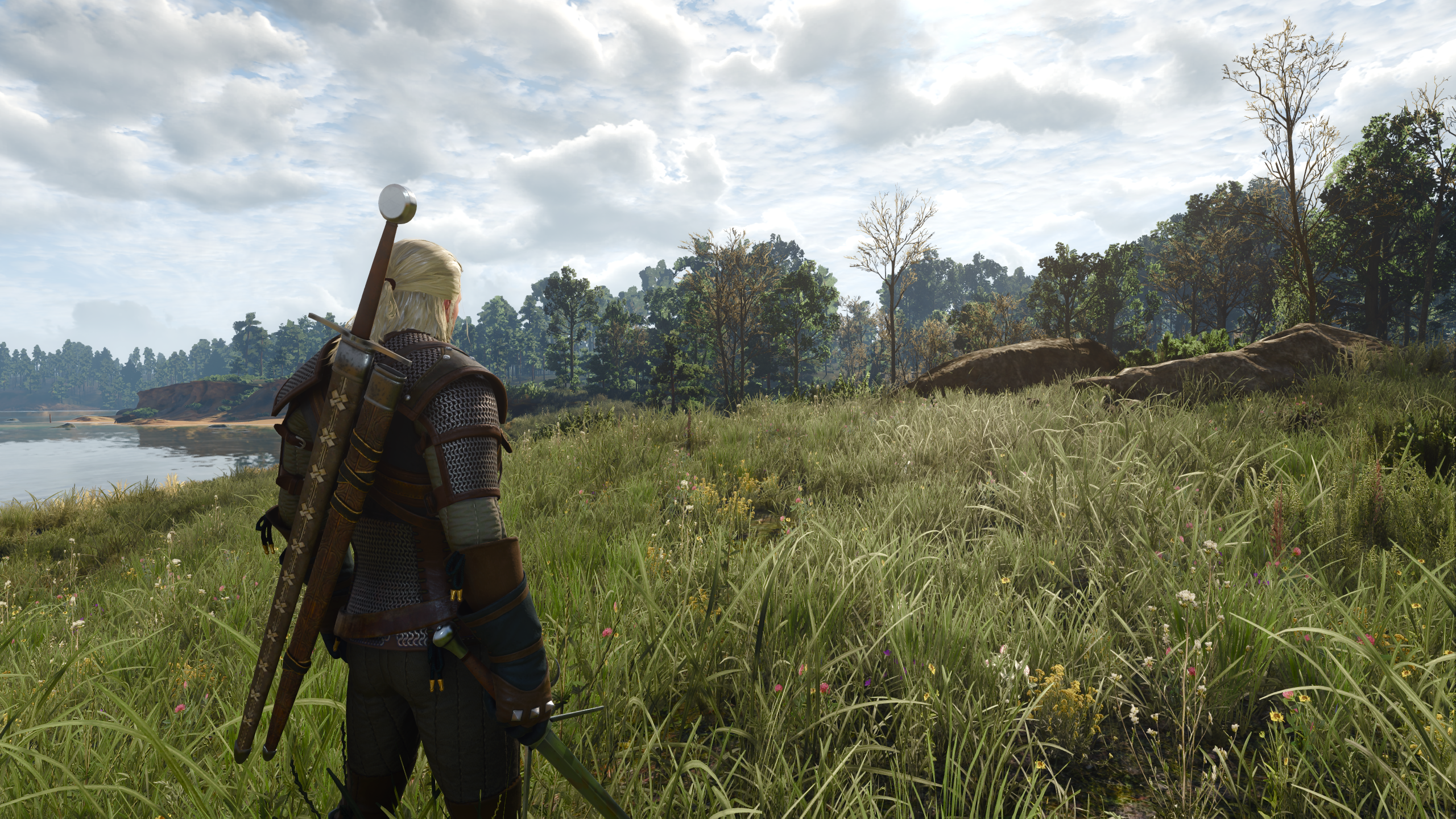 The Witcher 3: Wild Hunt