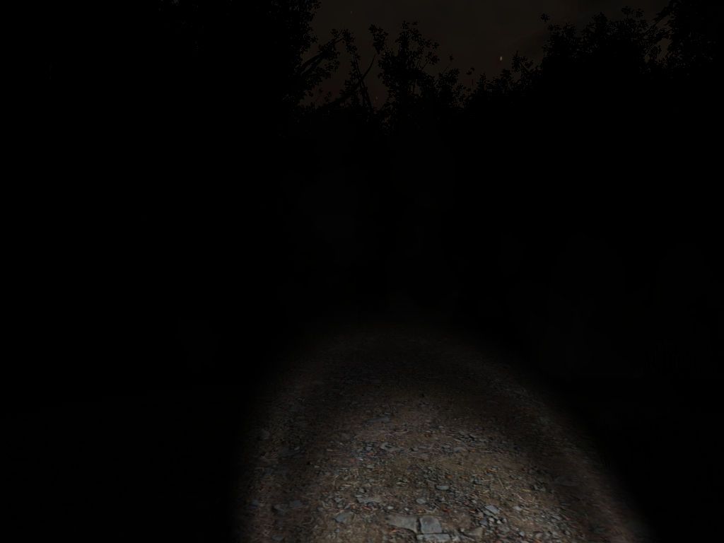 Slender: The Eight Pages