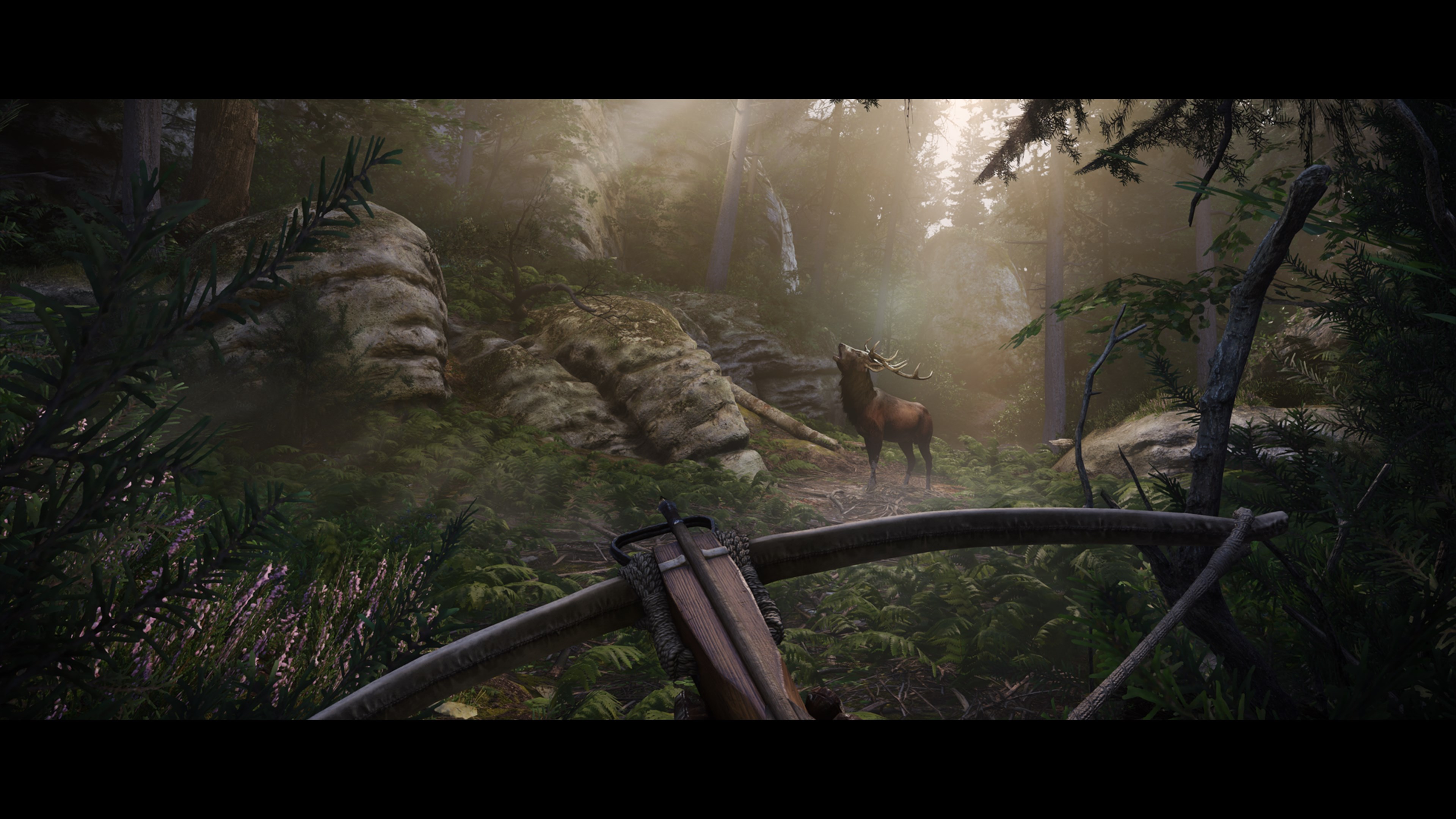 Kingdom Come: Deliverance II – Gold Edition