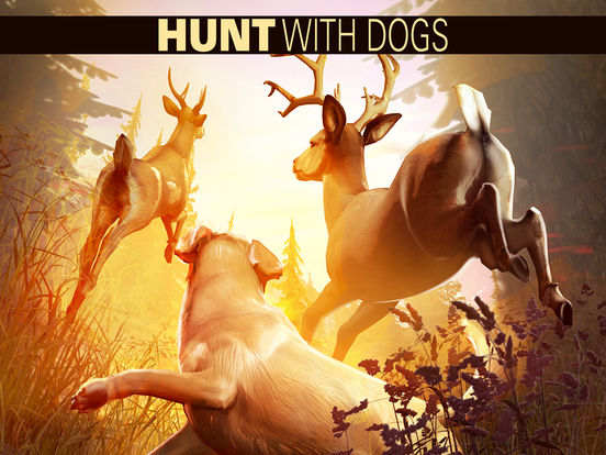 Deer Hunter 2018