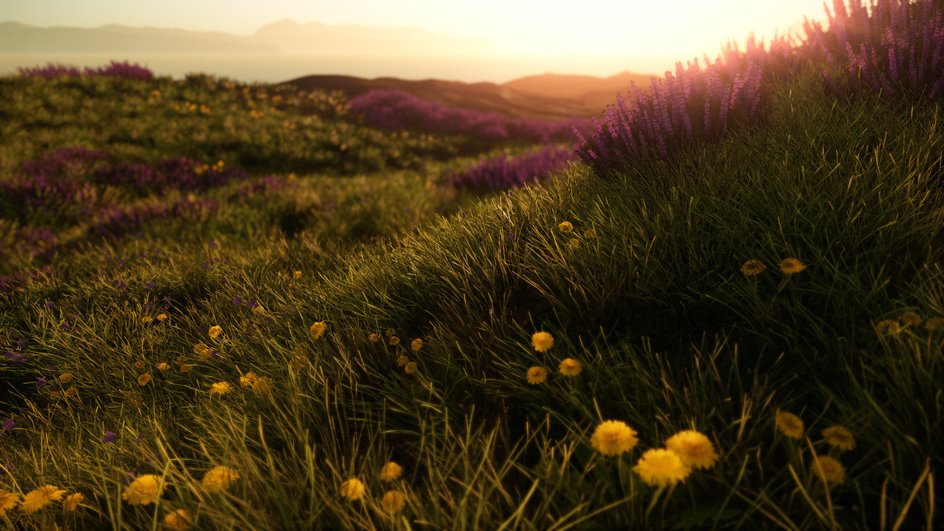 Mavericks: Proving Grounds