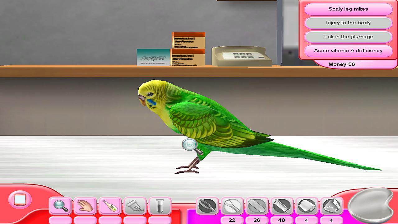 My Vet Practice: In the Country